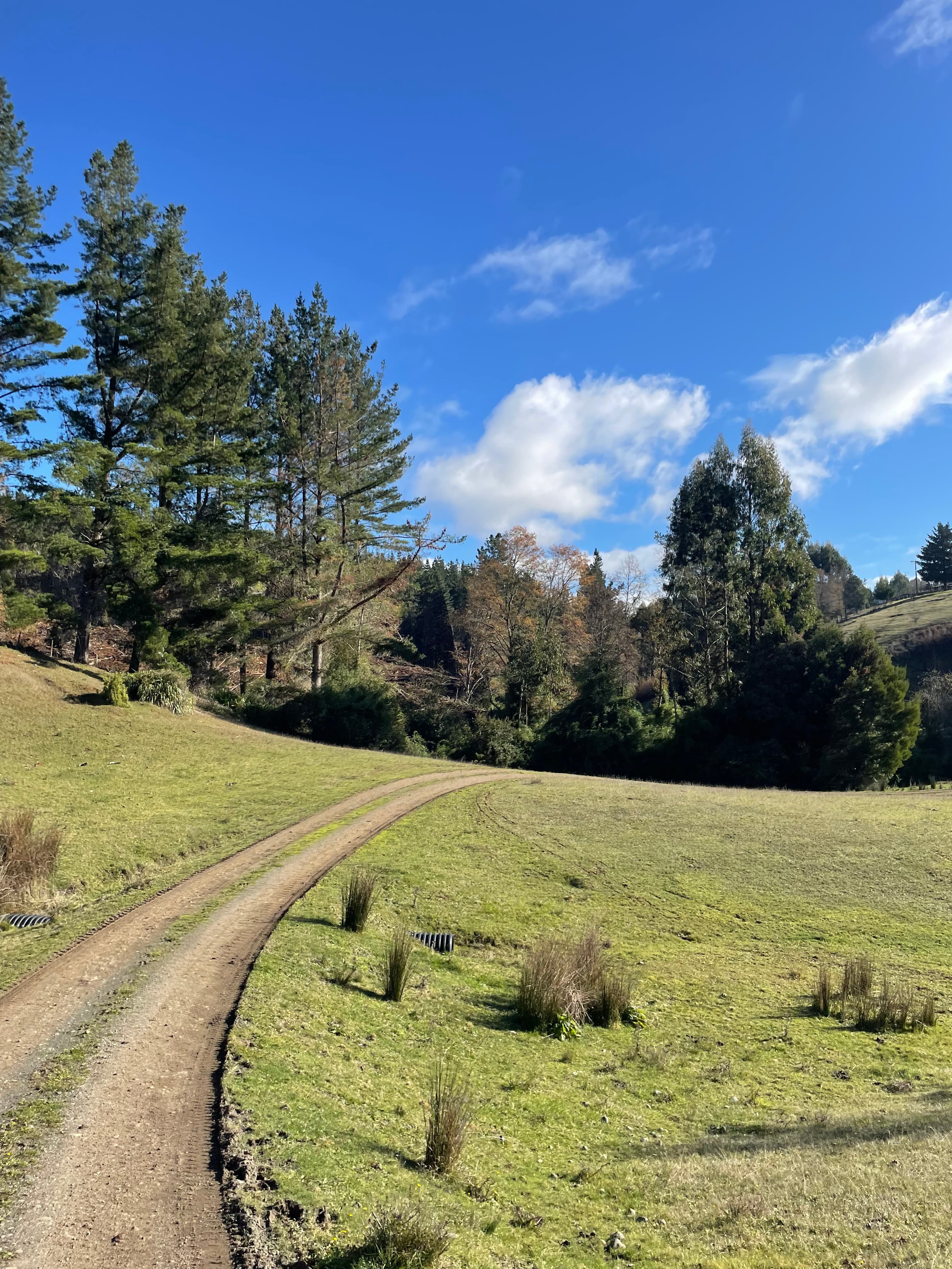 Mirador de Osorno - Foto 2