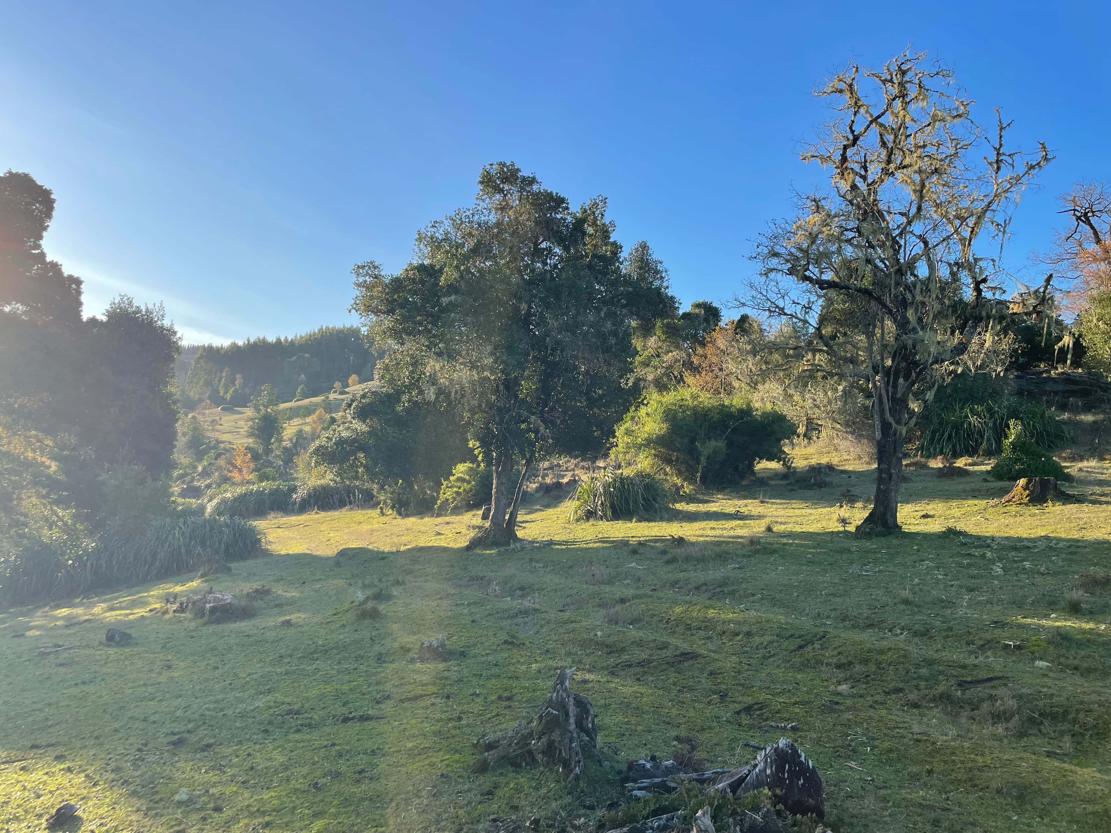 Mirador de Osorno - Foto 3